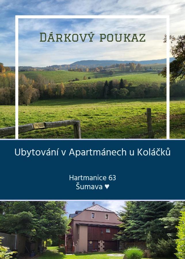 Apartmany U Kolacku Hartmanice  Exteriör bild